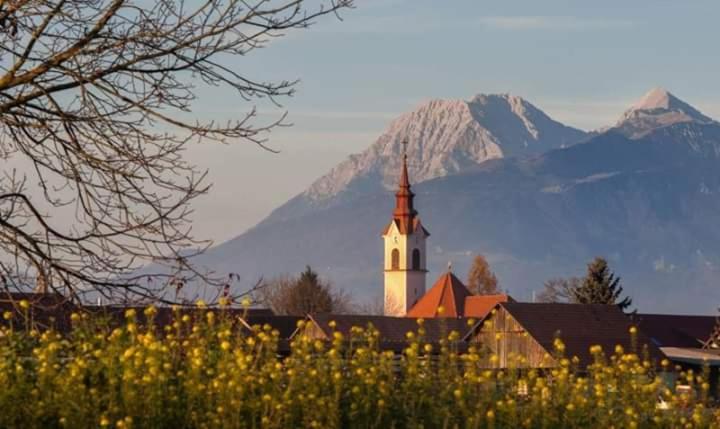 Michoart Lägenhet Ljubljana Exteriör bild