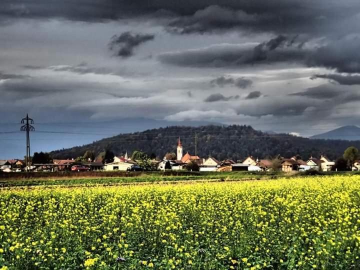 Michoart Lägenhet Ljubljana Exteriör bild