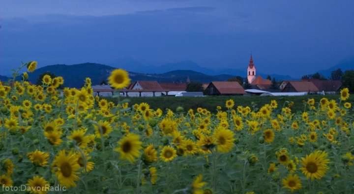 Michoart Lägenhet Ljubljana Exteriör bild